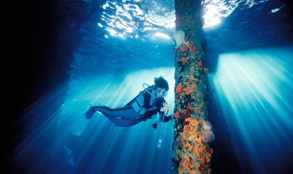 How Dr Sylvia Earle is igniting support to safeguard the blue heart of the planet