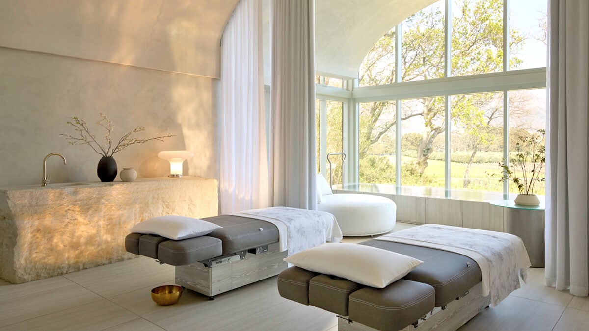 Rejuvenation in the Winelands 2