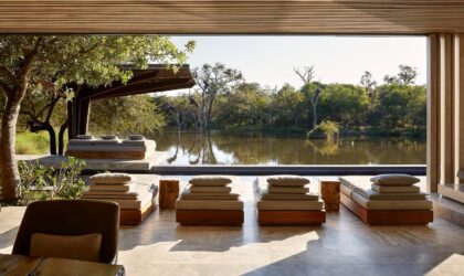 Luxury Safari