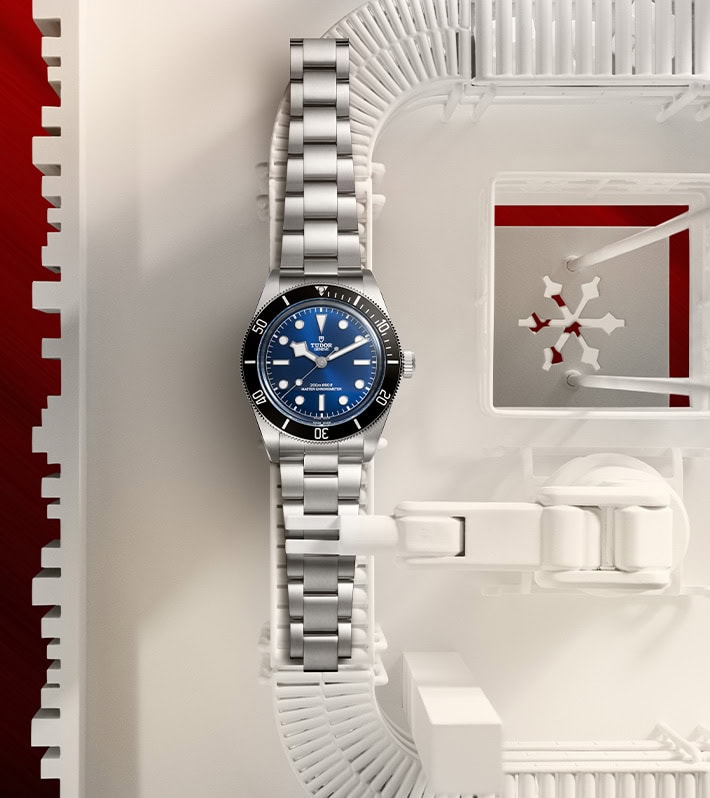 TUDOR Highlights: Black Bay Series & Clair de Rose 2