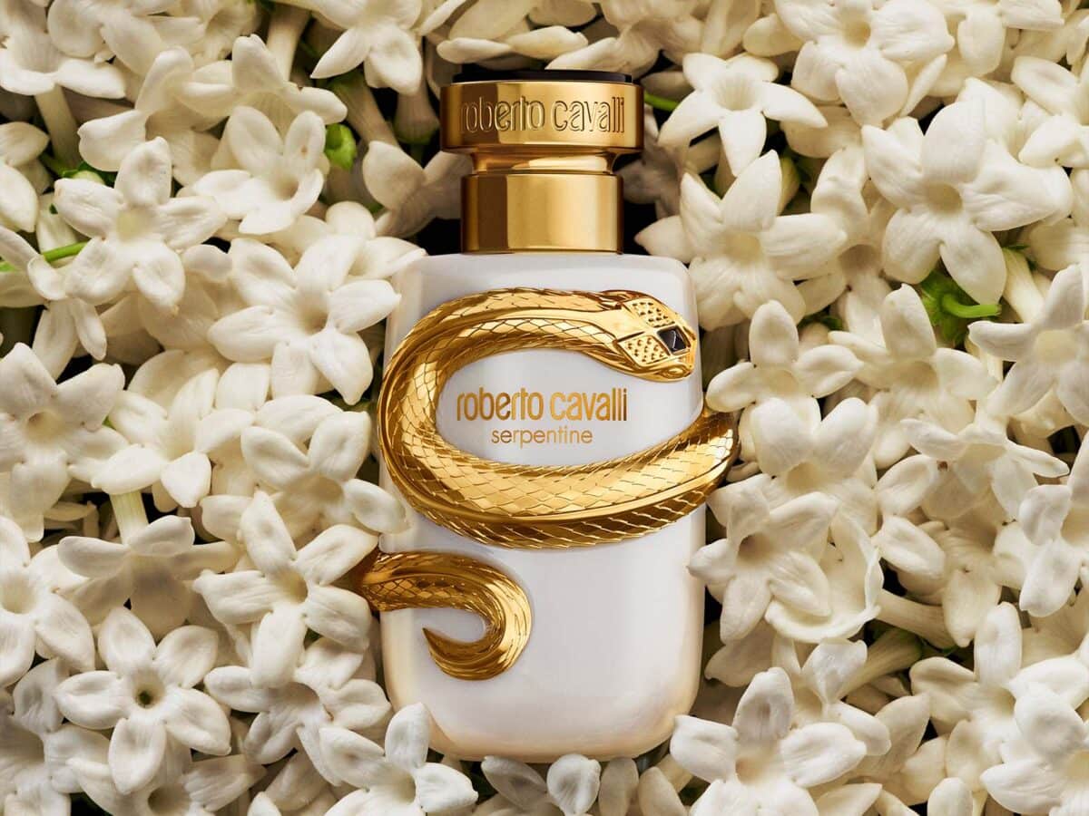 Introducing Roberto Cavalli Serpentine