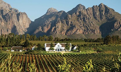 Award-Winning Summer Wines from the Cape