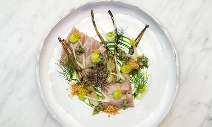 A new rhythm at Morii: Italian warmth, Cape terroir, and the spirit of The Vineyard