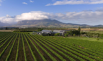 A new chapter in Paarl luxury: Olijvenkraal Winelands Lodge