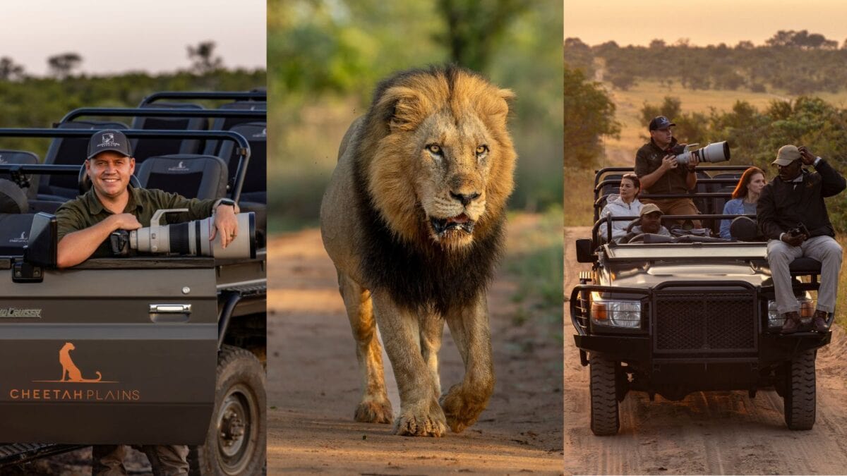 The art of the safari shot at Cheetah Plains Private Game Reserve 2