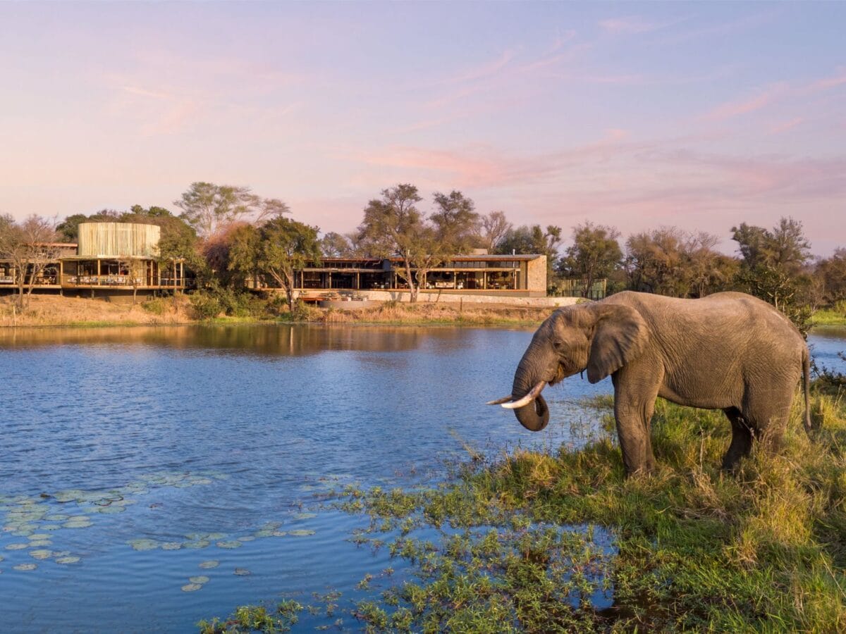 Meet Sandringham: Sabi Sabi’s New Chapter 1